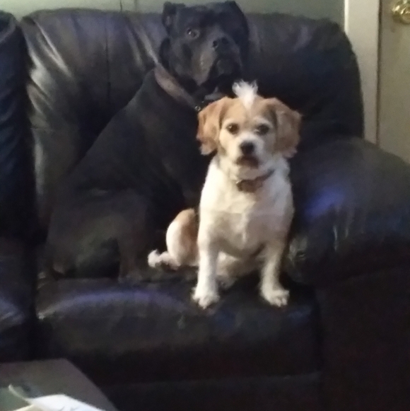 !! GIFTS !! RANDOMNESS GIFTs MARCH2026 - Picture 11 of 15